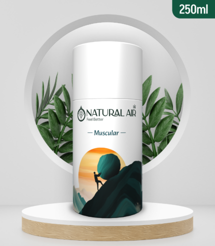 Muscular - Air Freshener